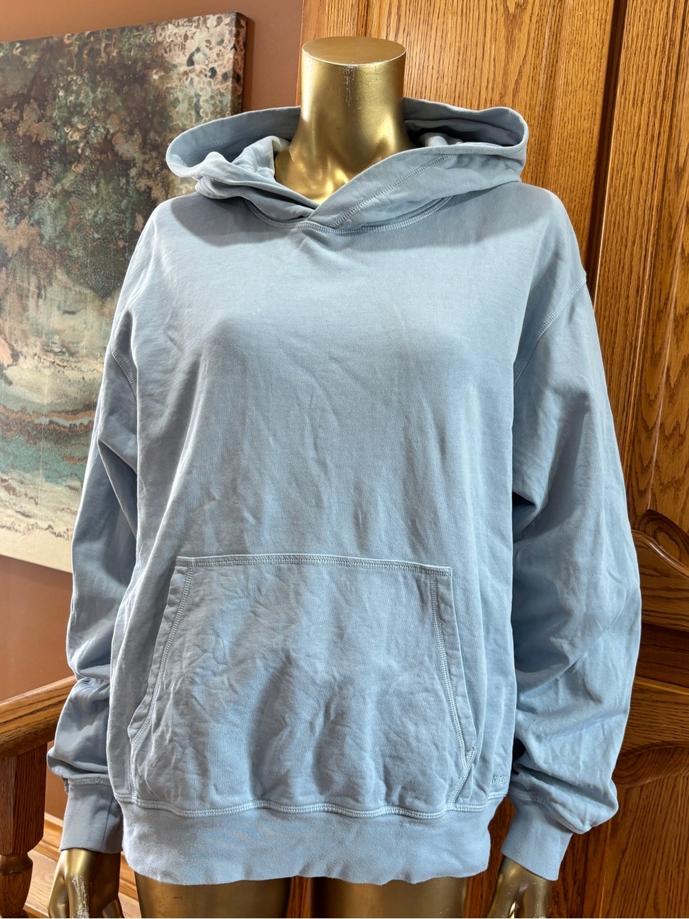 Aritzia Light Blue Hoodie Sweater - Relaxed Pullover